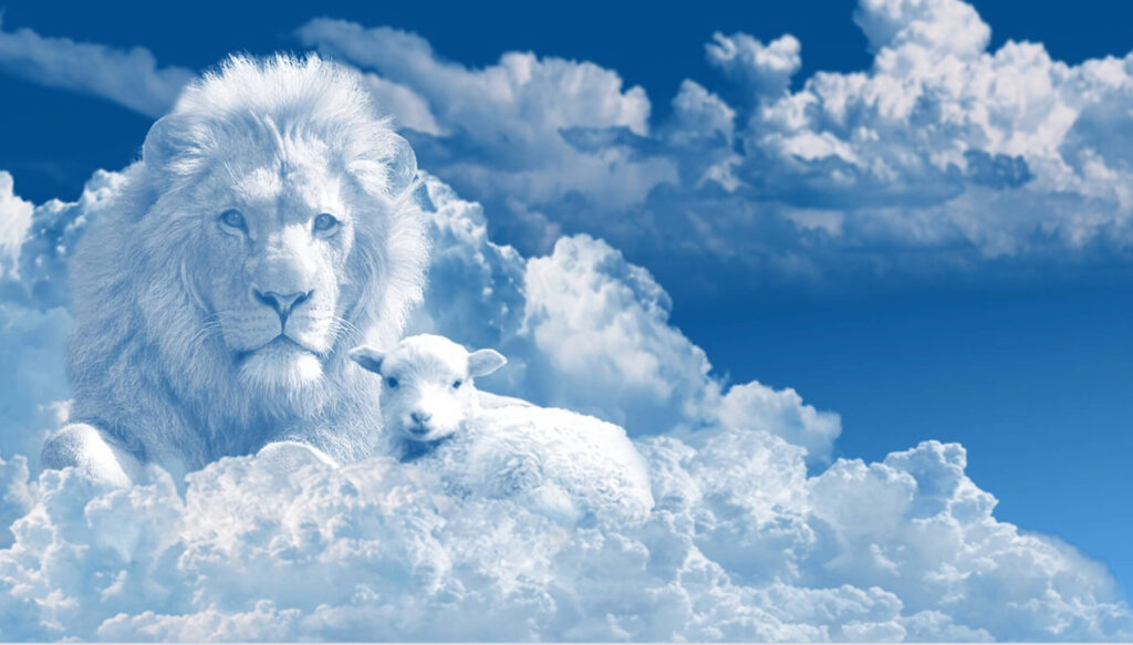雲　ライオン